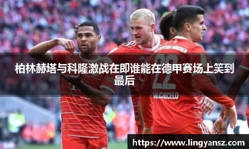 星空综合体育平台